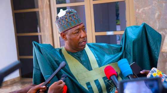 Insha Allahu Zamu kawo karshen Bokon Haram kafin wa'adin Buhari ya kare a 2023, Zulum