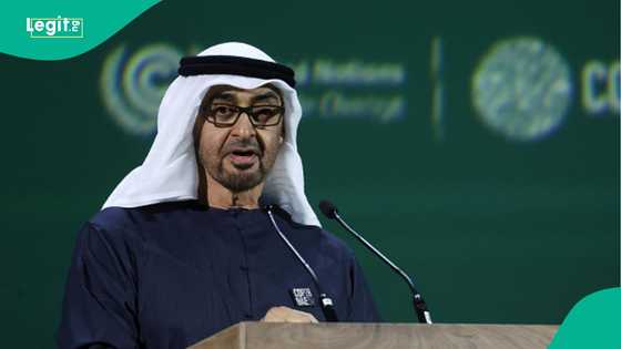 UAE announces 9 categories of foreigners who can obtain residence permit without getting a job