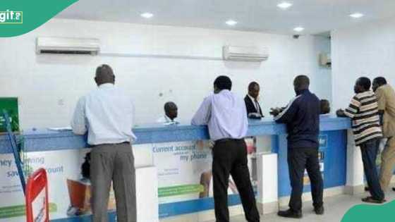 Nigerian bank assures customers of smooth operations as CBN sacks, appoints new MD