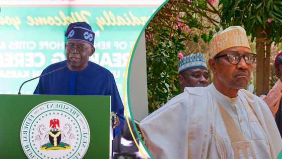 Watanni da sauka, masani ya tona yadda Buhari ya jefa Tinubu a ramin tashin Dala
