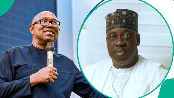 ADC ta dura kan Peter Obi, ta 'gano' manufarsa game da siyasar Najeriya