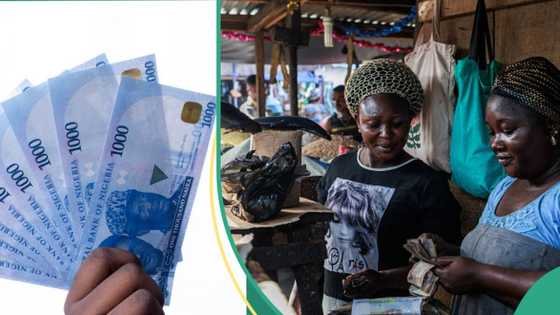 Report: Nigeria tops list of countries with most cash-dominant economy in the world in 2023