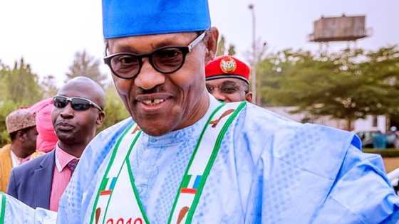 This is why Nigeria's next president must come from southwest - APC chieftain