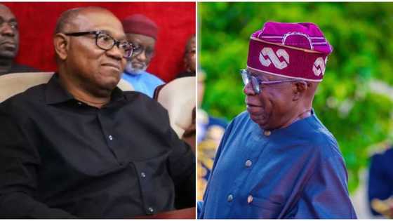 “Peter Obi’s case clearly cries to high heavens in vain”: President Tinubu’s lawyers say, reveal reason