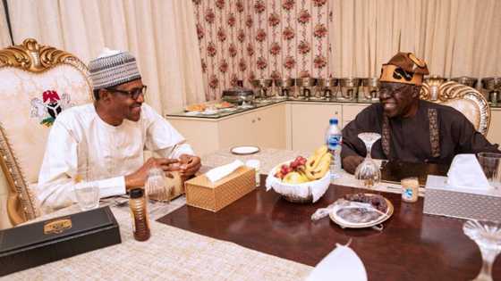 Breaking: Presidency finally breaks silence on alleged rift between Buhari and Tinubu