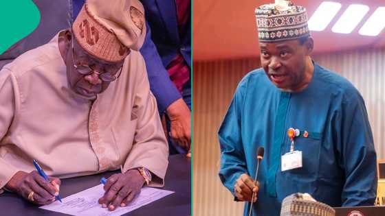 Groups react to Tinubu's appointment of Jimoh Ibrahim as UN envoy
