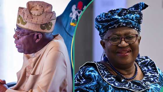 JUST IN: Tinubu hosts WTO DG Okonjo-Iweala in closed-door meeting in Abuja