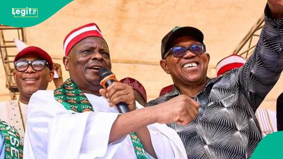 2027: Alamu sun nuna Kwankwaso da Obi za su fita daga jam'iyyar ADC