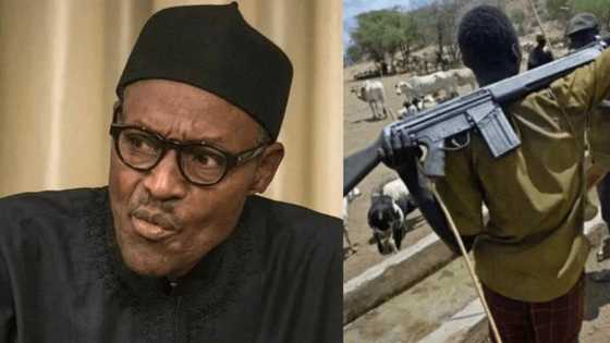Makiyaya basa rike AK-47, sanduna da adduna kadai suke rikewa, in ji Buhari