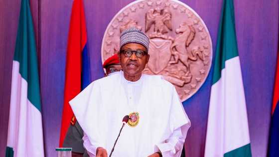 I’m paying Nigerians back because they love me - Buhari declares