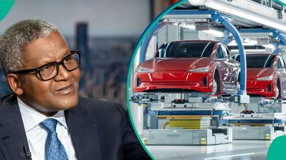 Dangote Peugeot plant produces 44,000 vehicle annually with tech-driven production