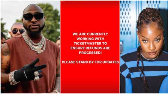Fans reject Davido as replacement after Tems couldn’t make Canada show, demand for refund