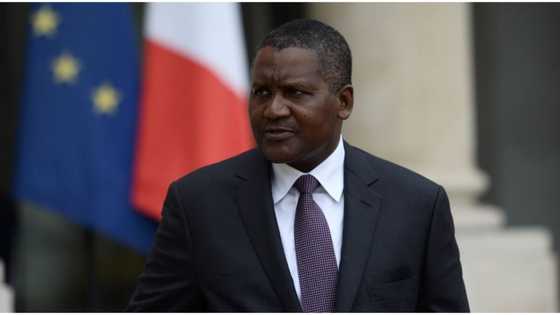 Aliko Dangote's wealth, Nigerian economy under threat as US, G7 and China clash
