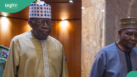 Tsohon shugaban kasa ya fadi matakin da ya kamata 'yan Najeriya su 'dauka kan mulkin Tinubu