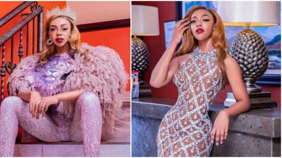 "Nearly mistook her for James Brown": Photos of BBTitan star, Khosi Twala goes viral, Nigerians react