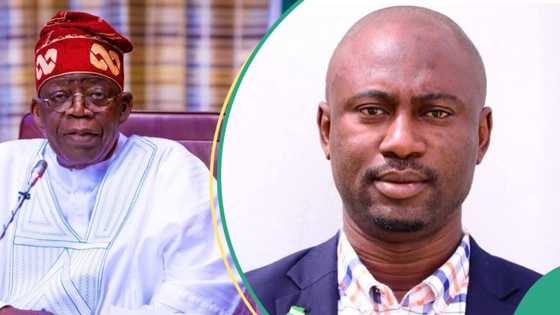 How govts can contribute to promotion of sustainable plastic value chain in Nigeria