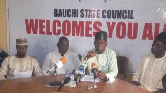 Tinubu's running mate: Dogara remains best option, says APC group