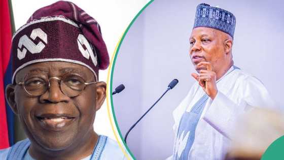 An fayyace wanda ke rike da Najeriya bayan ficewar Tinubu da Kashim daga kasar