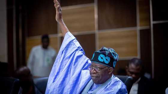 2023 presidency: "Tinubu is the guy, but I have my fears", APC deputy chair confesses