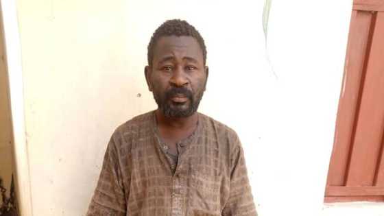 An yi fansar Bakano daga hannun 'yan ta'adda da kiret 6 na giya, babura 2 da N500,000