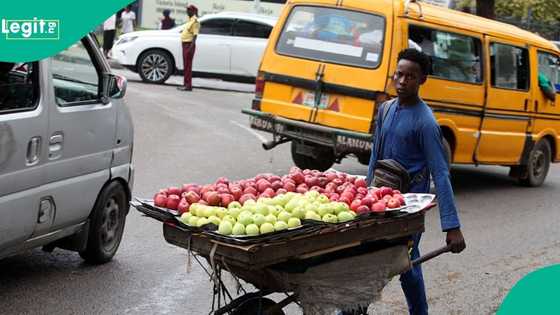 Onion farmers predict higher prices for Christmas, give reasons