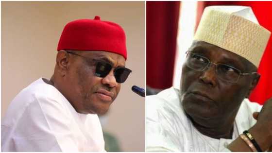 2023: Strong PDP chieftain reveals Atiku's final position against Wike, loyalists’ candidates