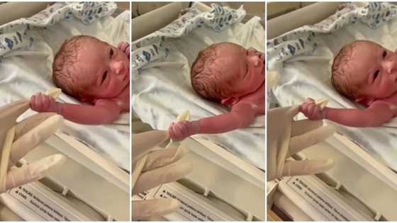 "Put me back": Newborn infant grabs doctor's hand and refuses to let go, hilarious video goes viral