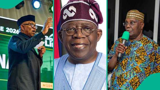 How Tinubu, Atiku, and Peter Obi say they made their wealth