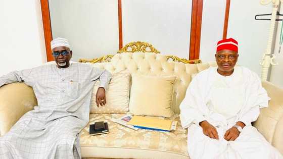 Jam’iyyar NNPP da Kwankwaso sun gamu da cikas a hanya daga bangaren Shekarau
