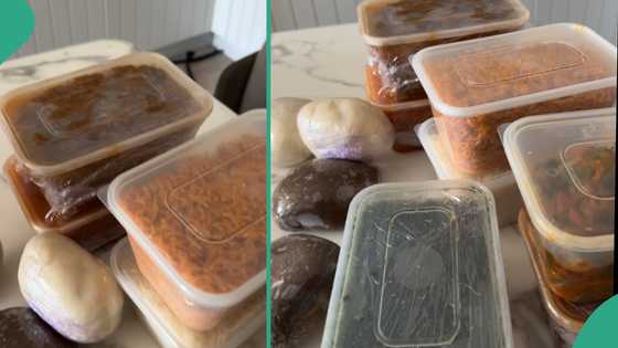 People give assorted Nigerian foods to man who visited London, fill refrigerator with cooked meals