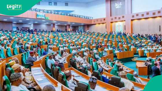 PDP ta kara birkicewa, 'yan majalisa 4 na jam'iyyar daga Bauchi sun koma APM