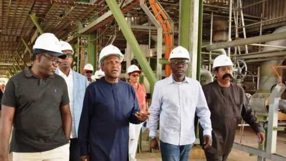 Matatar Dangote za ta kwashi ma’aikata sama da 70,000, in ji bankin CBN