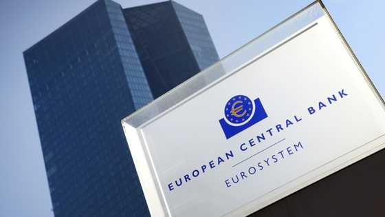 ECB ready to cut rates again as Trump tariffs shake eurozone