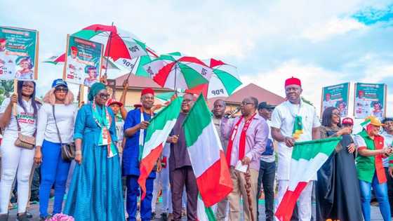 Anambra election: 5 reasons PDP won only 1 LG despite Peter Obi, Senator Ekwunife's influence