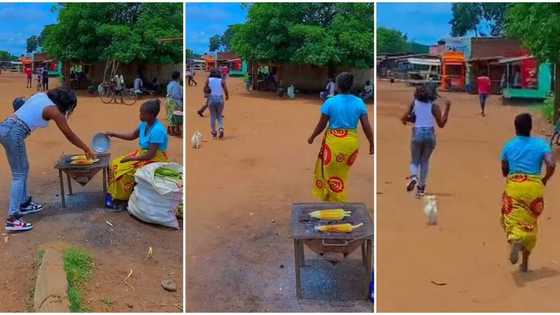 "She left the whole business": Corn seller Chases Customer and Her Dog, Video of Hilarious Scene Goes Viral