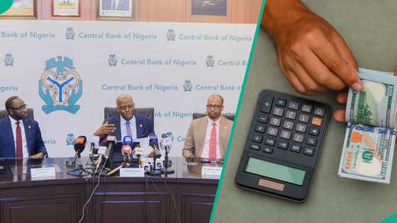 Naira bounces back in black market after CBN cuts interest rate