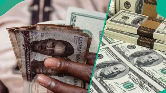 Naira appreciates as FX inflows improve, analysts send warnings