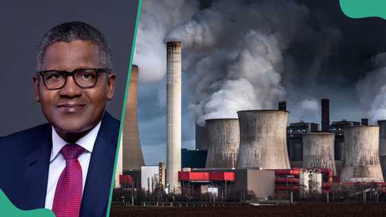 After finding new oil blocs, Niger seeks Dangote Group’s partnership to unlock crude oil potential