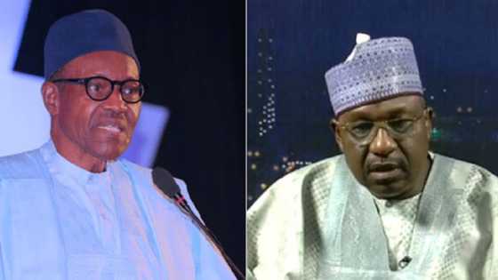 Ahmed Gulak: President Buhari breaks silence, talks tough over murder of Jonathan's ex-adviser