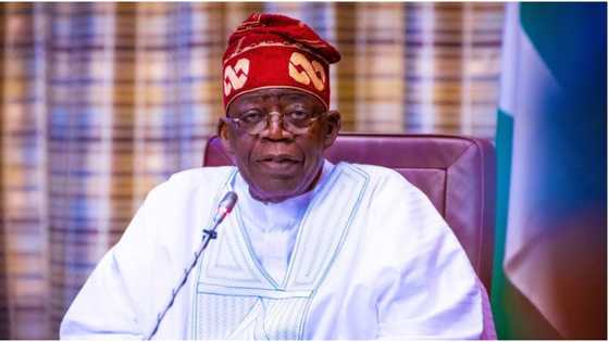 Why I still have my green-back passport, Tinubu opens up