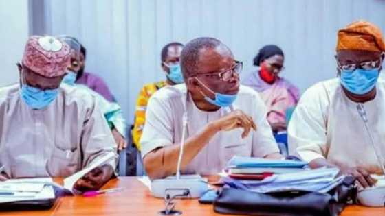 Strike: ASUU announces date for NEC meeting, reveals next line of action