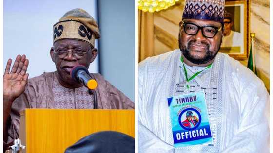Da duminsa: Wani attajiri dan jihar Kebbi ya zuge N100m don sayawa Tinubu Fom din takara