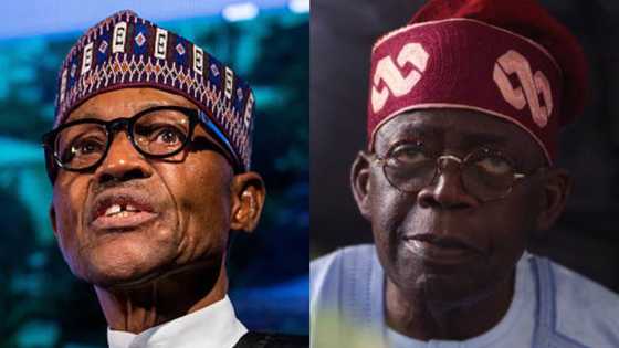May 29: "Tinubu will succeed, build on my legacy," Buhari assures Nigerians