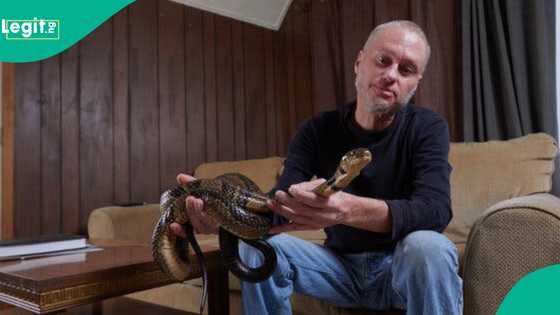 Ana hada rigakafin maciji daga jinin mutumin da macizai 200 suka ciza