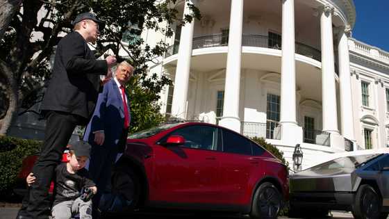 Tesla says profits plunge 71%, warns of 'changing political sentiment'