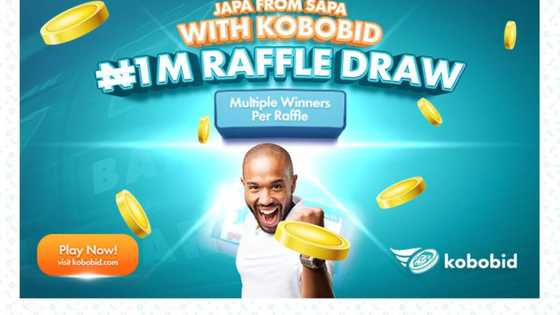 You Don’t Have to Play Squid Game to be a Millionaire!