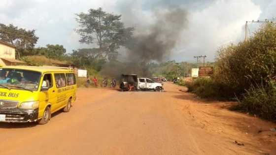 Bidiyon CCTV ta nuna ma'aikatan banki suna wawushe kudi kafin 'yan fashi su iso - 'Yan sanda