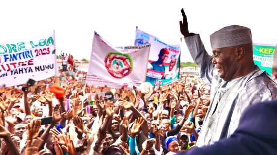 APC da Tinubu Na Shirin Ba Atiku Mamaki a Adamawa, Za a Tika Shi da Kasa a Mahaifa