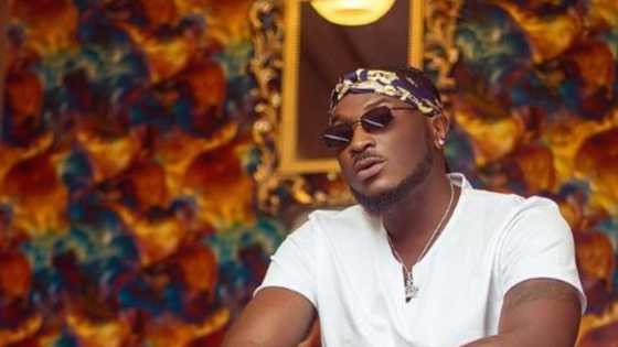 Replenish your playlist with Peruzzi - Majesty