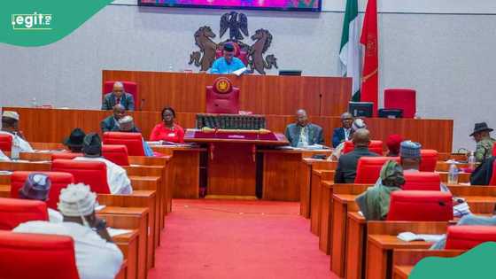 Karfafa noma: Majalisa na son a daina shigo da shinkafa sosai daga ketare